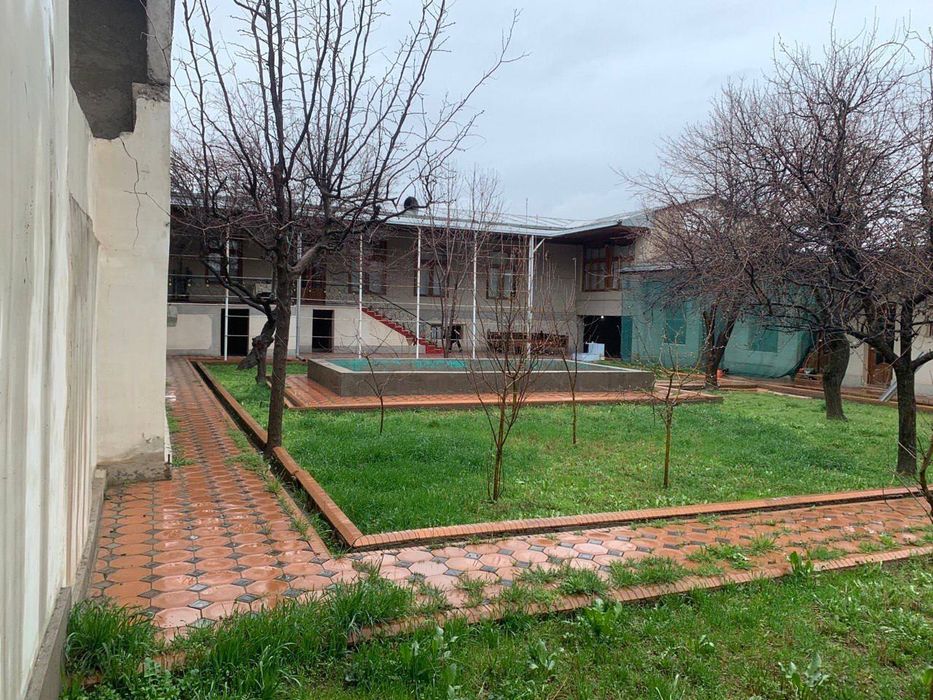 Zor hovli 10sotih