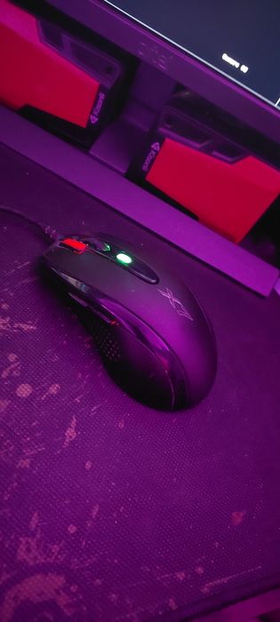 Рабочие мишки Х7