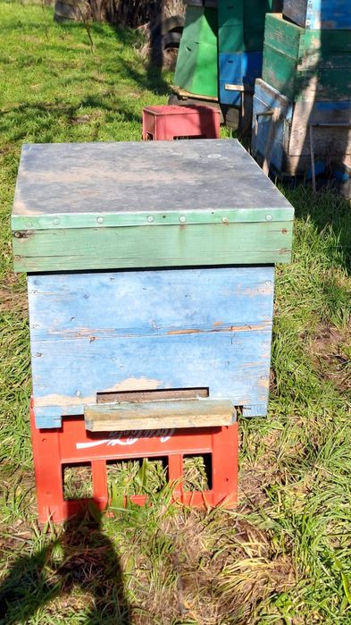 100 de lei cutie stup vertical cu fund antivarroa  și centrifuga inox 4 rame manuala 1000 lei