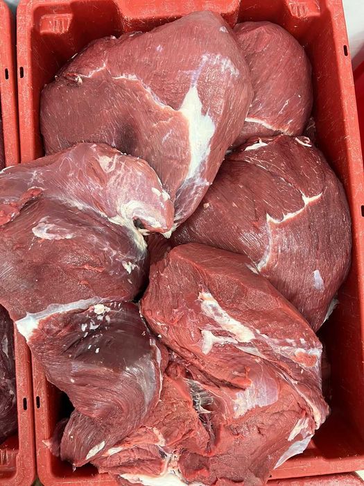 мясо халал, блочная говядина