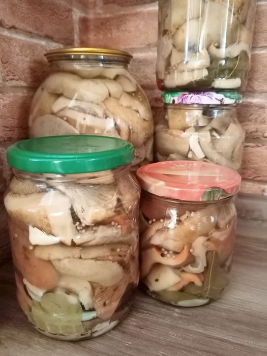 Грибы маринованные сезон 2025