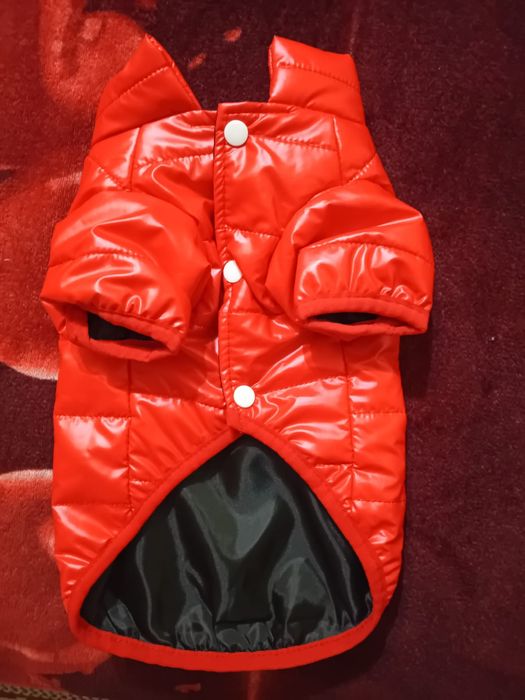 Vând urgent vestă pentru cățelușe M