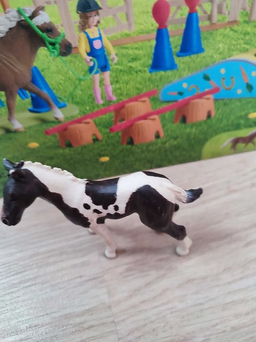 Caii schleich foarte bine îngrijit