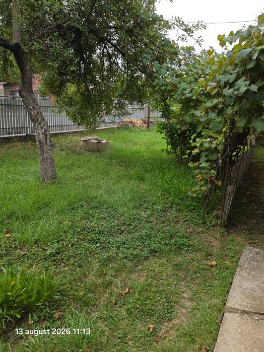 Vând casă bătrânească