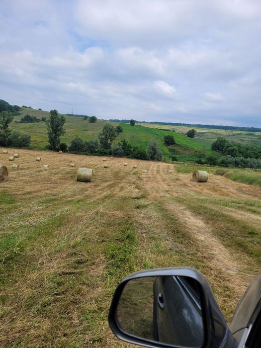 Băloți rotunzi de fân