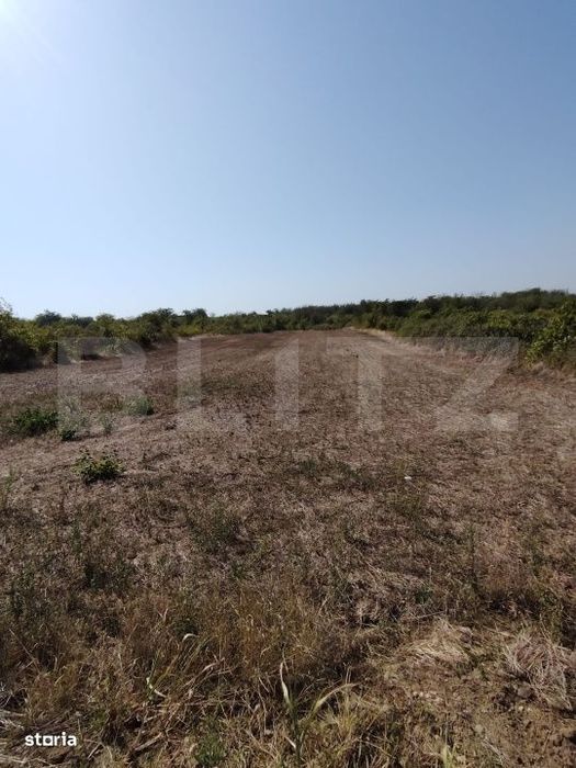 Teren intravilan, 2104 mp, zona Carcea Profi, deschidere 13.85m, 2 fro