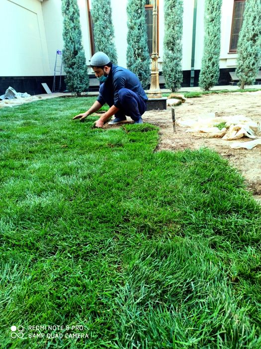 Газон готовый с установкой и также ландшафтный дизайн