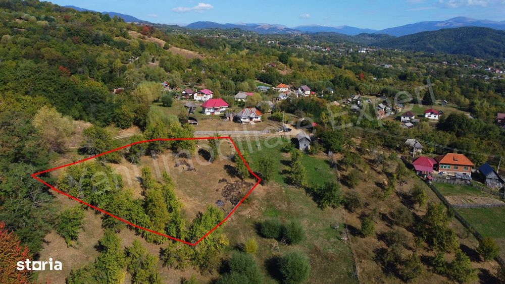 Teren 2264 mp de vânzare în comuna Brăduleț,  județ Argeș.
