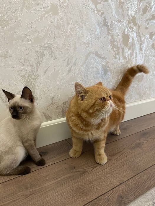 Эгзот угил бола 2 ёш