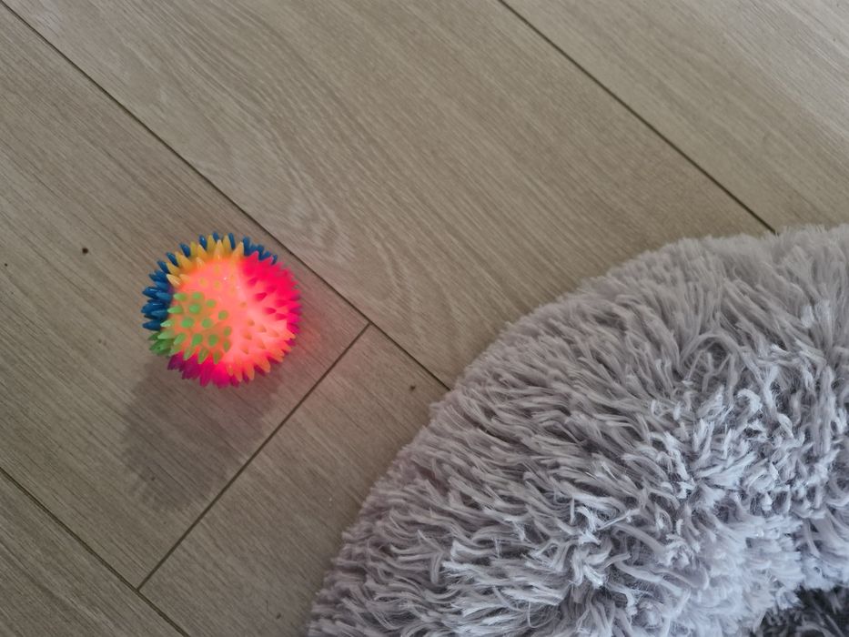 Лежанка для кота. Игрушки в подарок