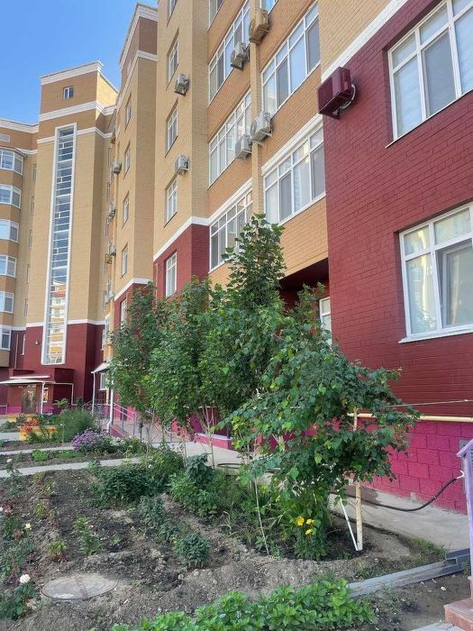 батыс за 14800 1 ка