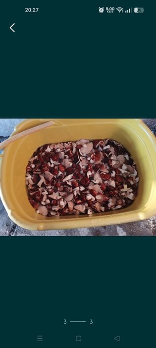 Продам грибы соленные