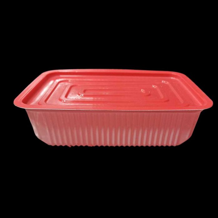 Issiq ovqat uchun koteyner, 700 ml