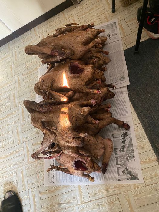 Сойылған қаз еті бар