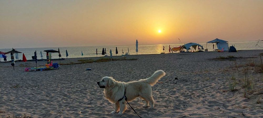 Продавам каравана с място в Къмпинг Юг