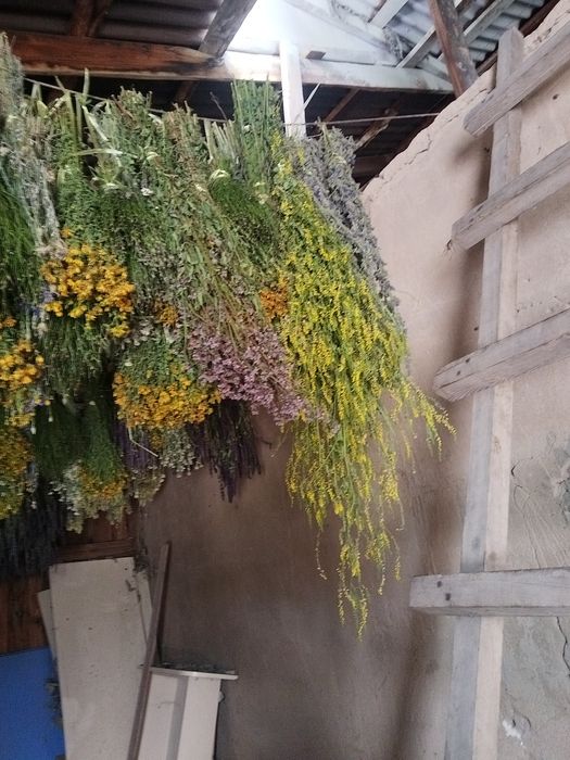 В продаже травы лечебные