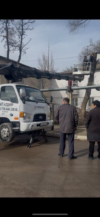 Спил деревья, Ағаш кесу