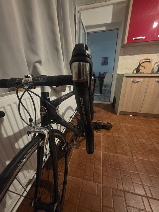 Cursiera full carbon