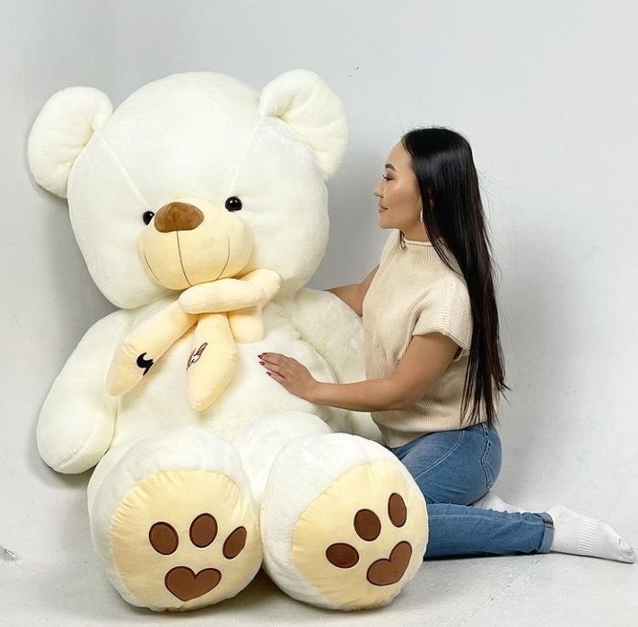 Мишки Мишка Аю Мишки Мишка