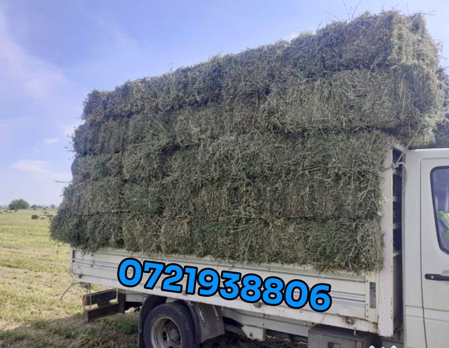 Vând baloți de FAN