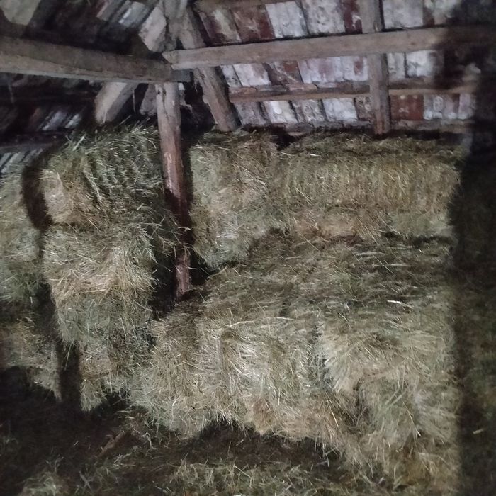 Vând baloți de fân