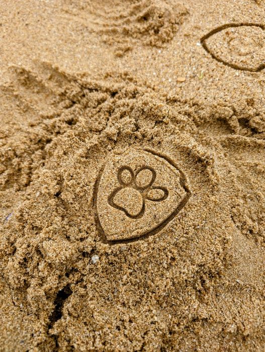 Jucarii de plaja Patrula Catelusilor / Paw Patrol - forme de nisip