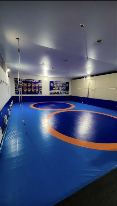 Борцовский ковер Атбасар 8-8 м без матов