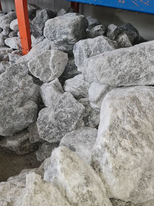 Sare bulgari zootehnici