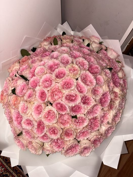 пионивидная роза 101