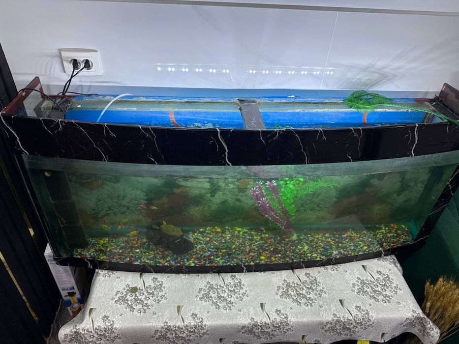 Akvarium sotiladi