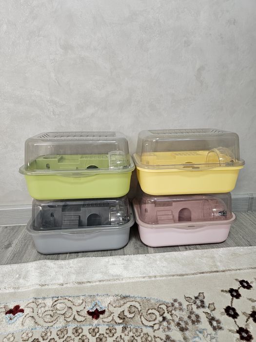 Новые клетки + хомяк в подарок