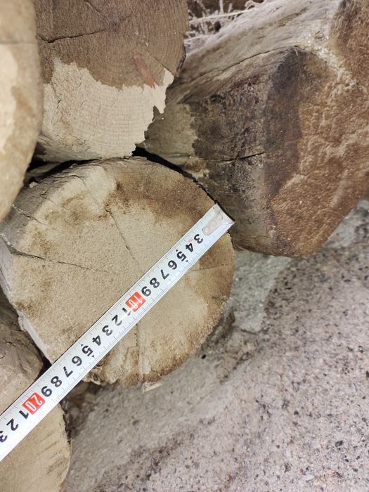 Ағаш бөренелер сатылады