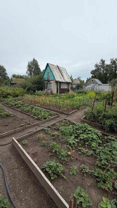 Продам дачу Горизонт ( не доезжая до Солнечного)