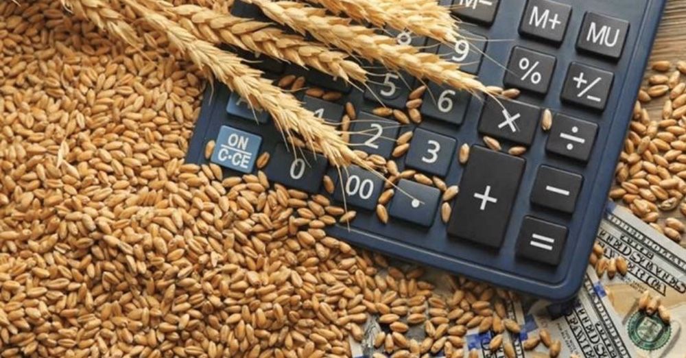 Transport gratuit ! Cereale Porumb grau  triticale floarea soarelui