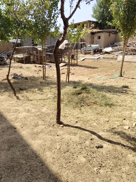 Ер сотилади Уй учун