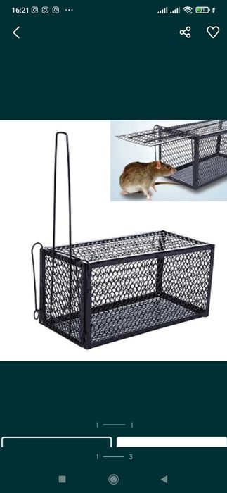 Qopqon KALAMUSH LOVUSHKA kalamush qopqon