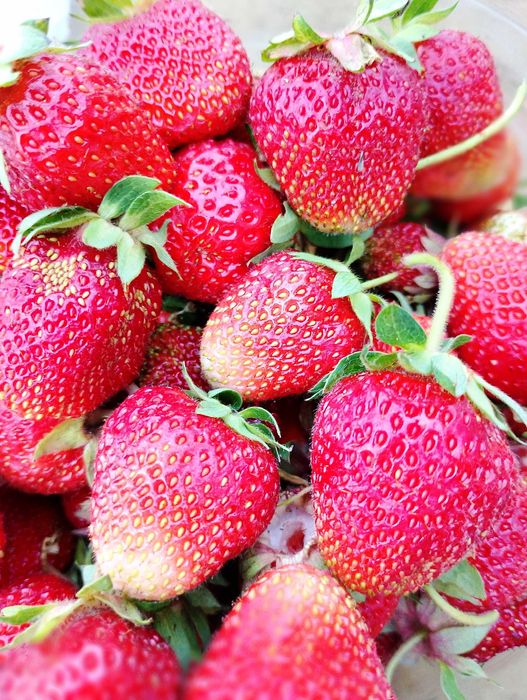 дача Сад Металлург 6 сот