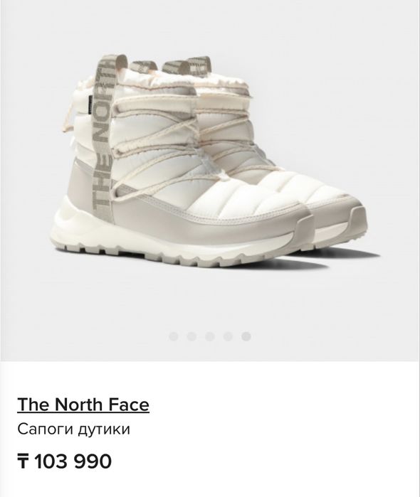 Зимние дутики The North Face
