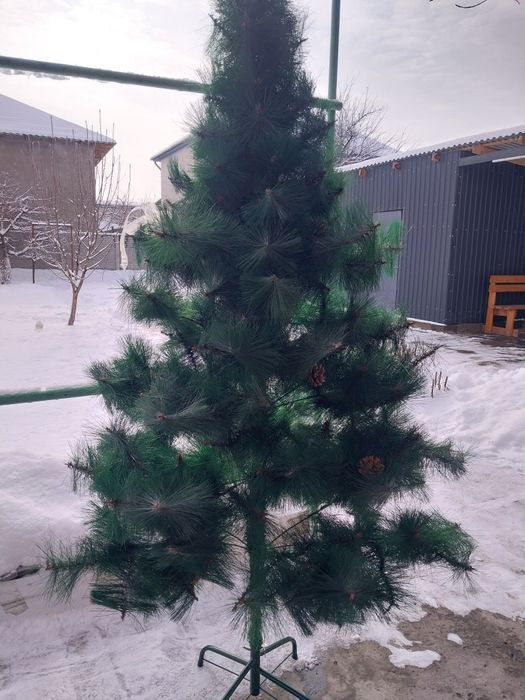 Ёлка отдам в добрые руки