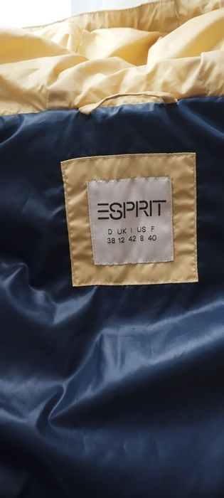 Vesta dama esprit