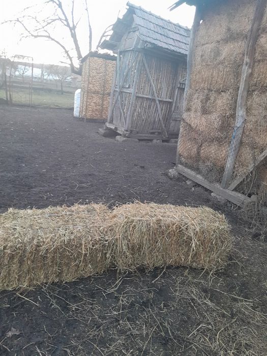Baloț de lucernă și de paie