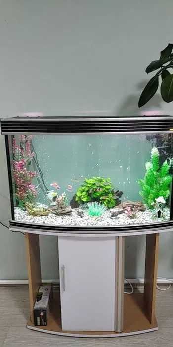 Обслуживание аквариума