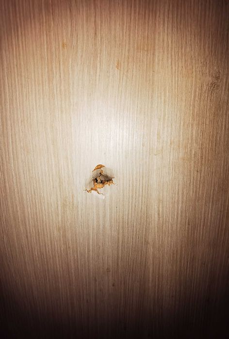 Два броя интериорни врати