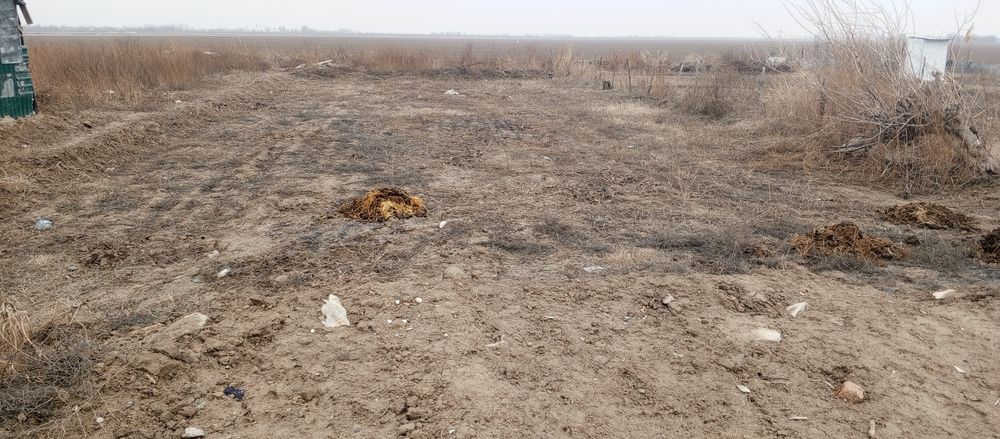 Yer uchaskas yahsh narhda