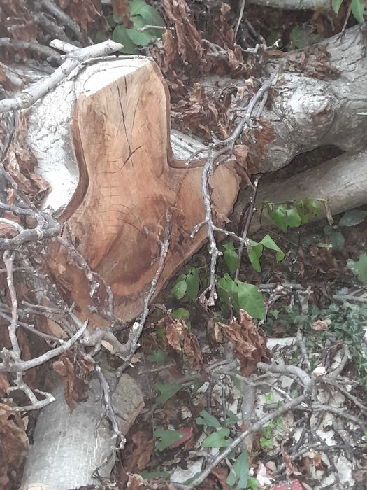 Дървен орехов материал