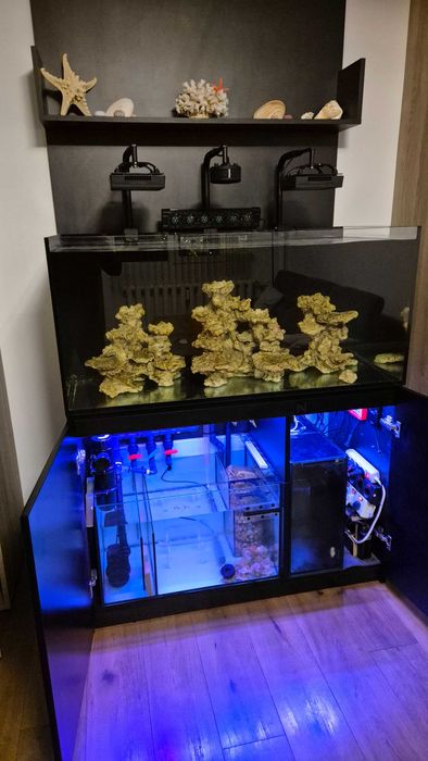 Redsea Reefer 420 xl v1