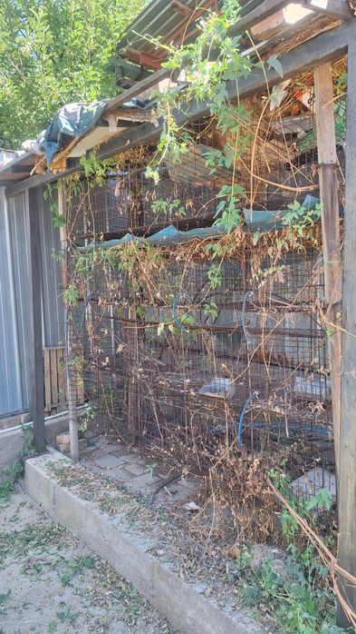 Продам крольчатник на 20 кроликов