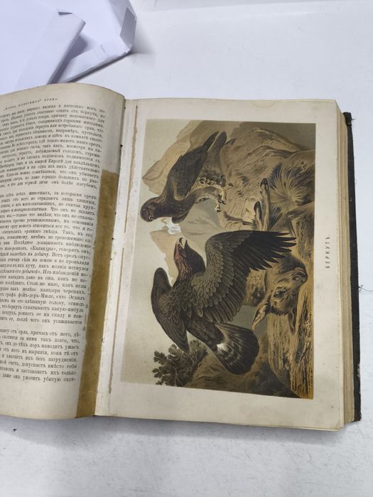 Антиквариатная книга