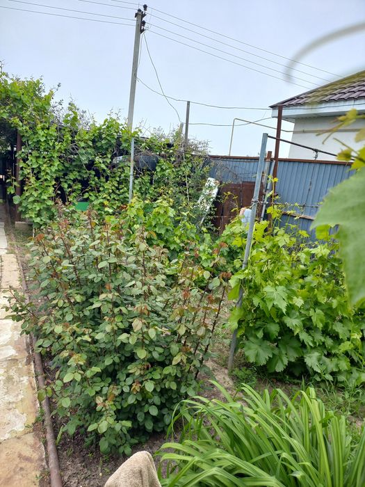 Продаётся дачный участок