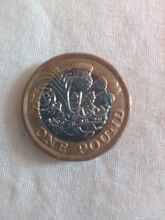 Елизавета 2   2017г one pound